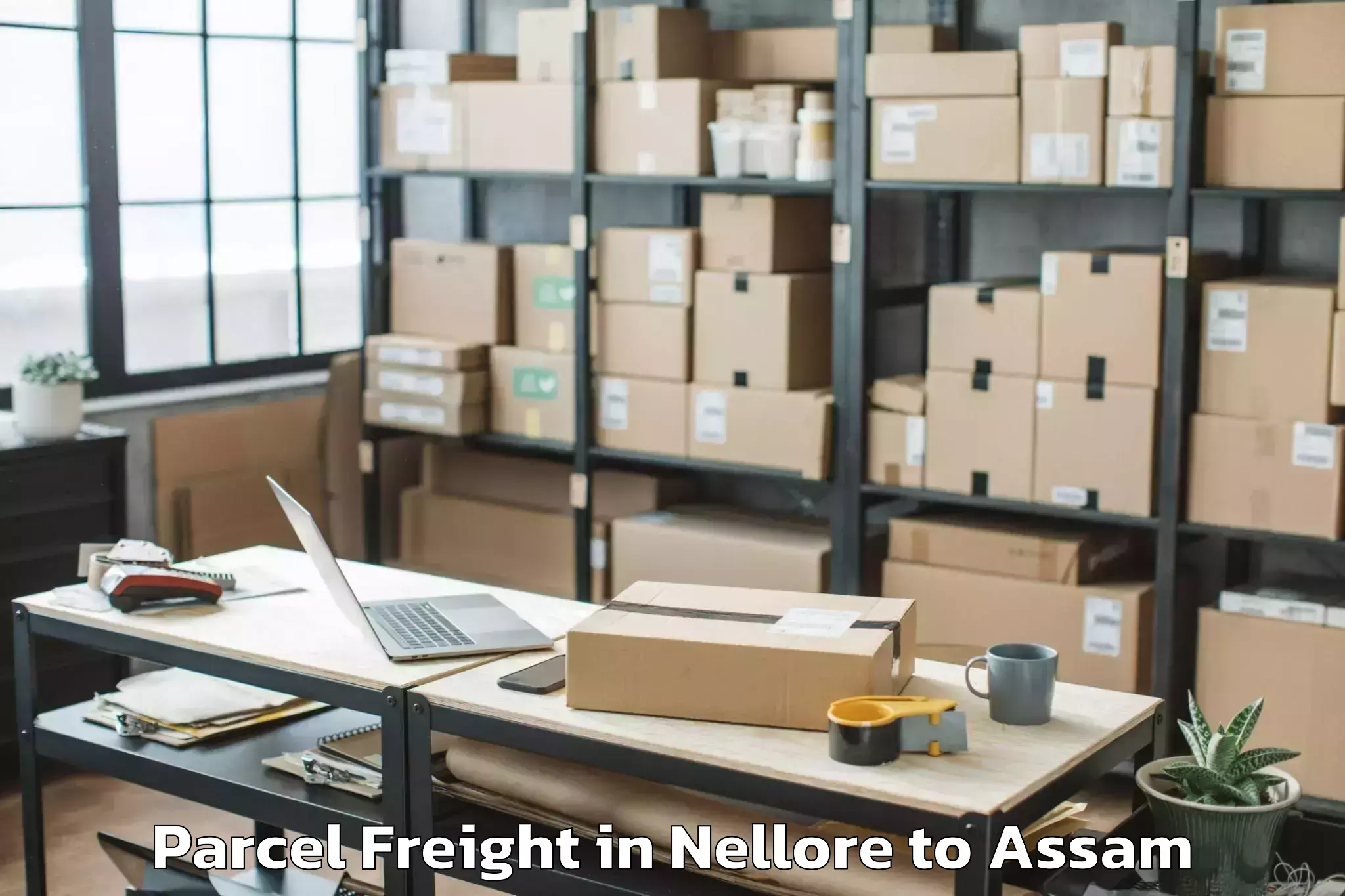 Efficient Nellore to Jorhat Airport Jrh Parcel Freight